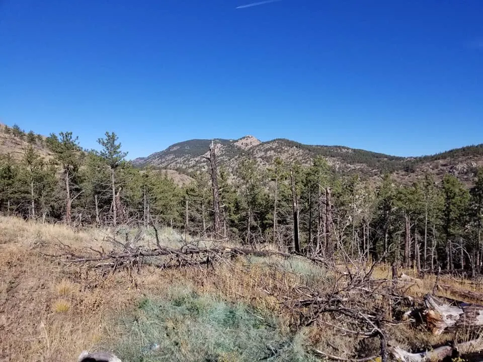 Local yard maintenance in Eaton, CO by Back 40 Land Management