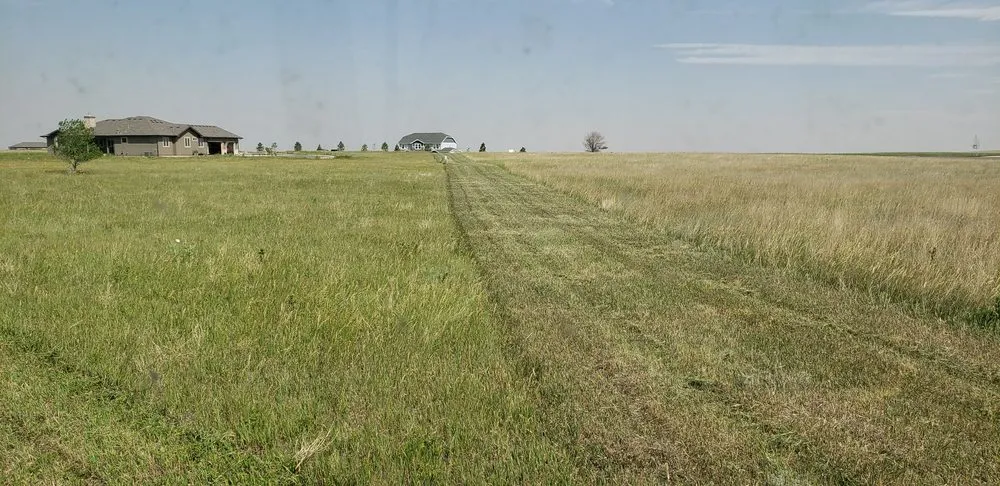 Expert yard cleanup service for outdoor upgrades in Parker, CO by Back 40 Mowing and Seeding