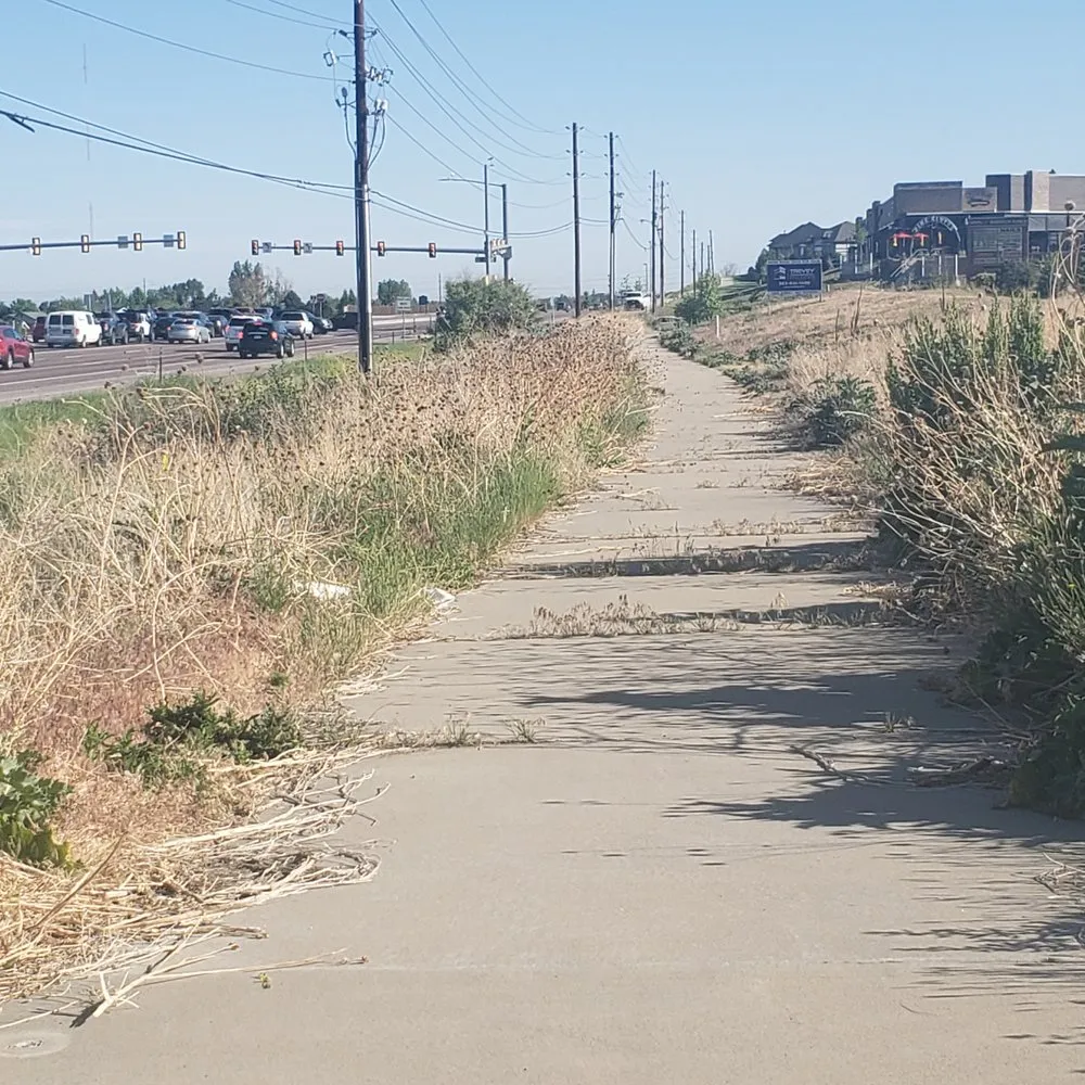 Expert landscaping services near you in Parker, CO by Back 40 Mowing and Seeding