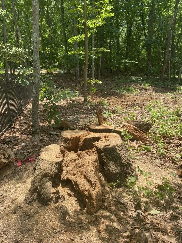 Reliable landscaping services in New Market, AL by Back Again Tree And Yard Essentials