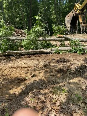 Back Again Tree And Yard Essentials Logo