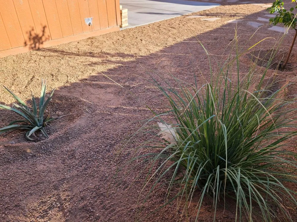 Top-rated landscape installation for residential properties in Rio Rancho, NM by Back Breakers Landscape & Maintenance