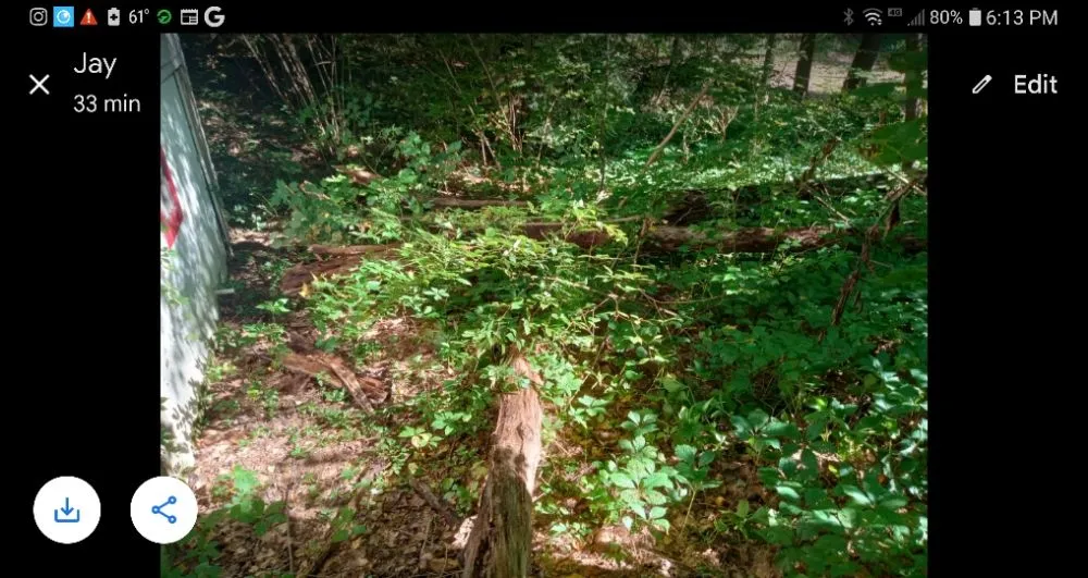 Local garden landscaping in Hadley, NY - Back Country Lawn Care