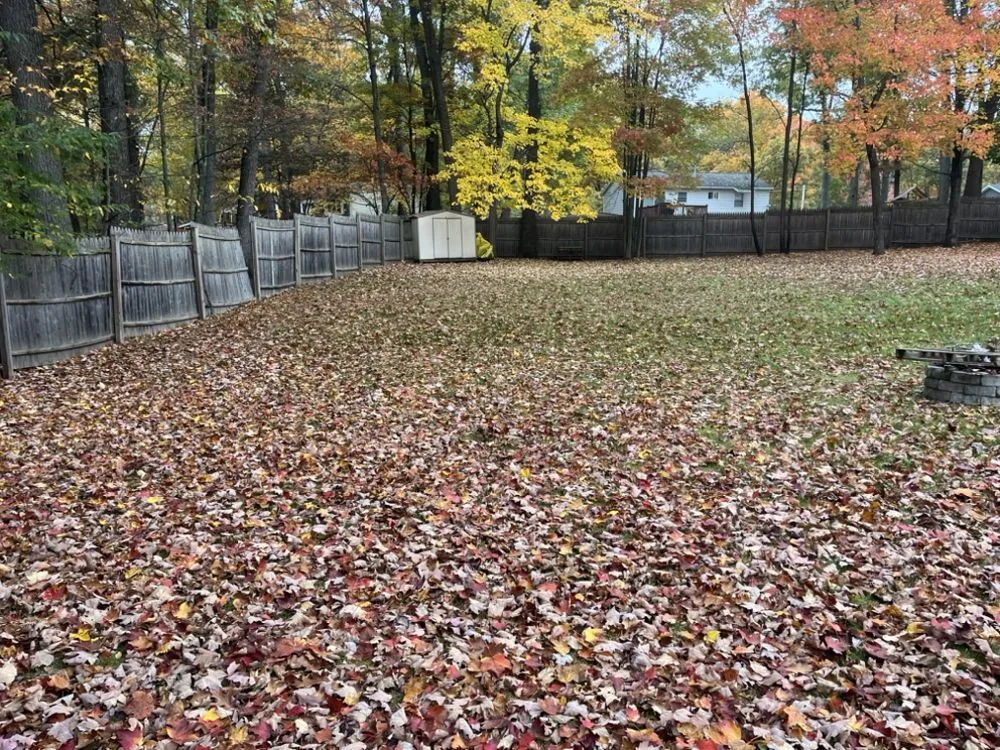 Local yard cleanup service for residential properties in Hadley, NY by Back Country Lawn Care