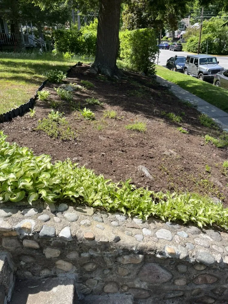 Trusted yard maintenance in Hadley, NY - Back Country Lawn Care