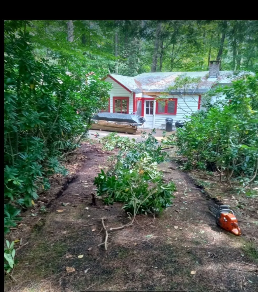 Reliable yard cleanup service in Hadley, NY - Back Country Lawn Care