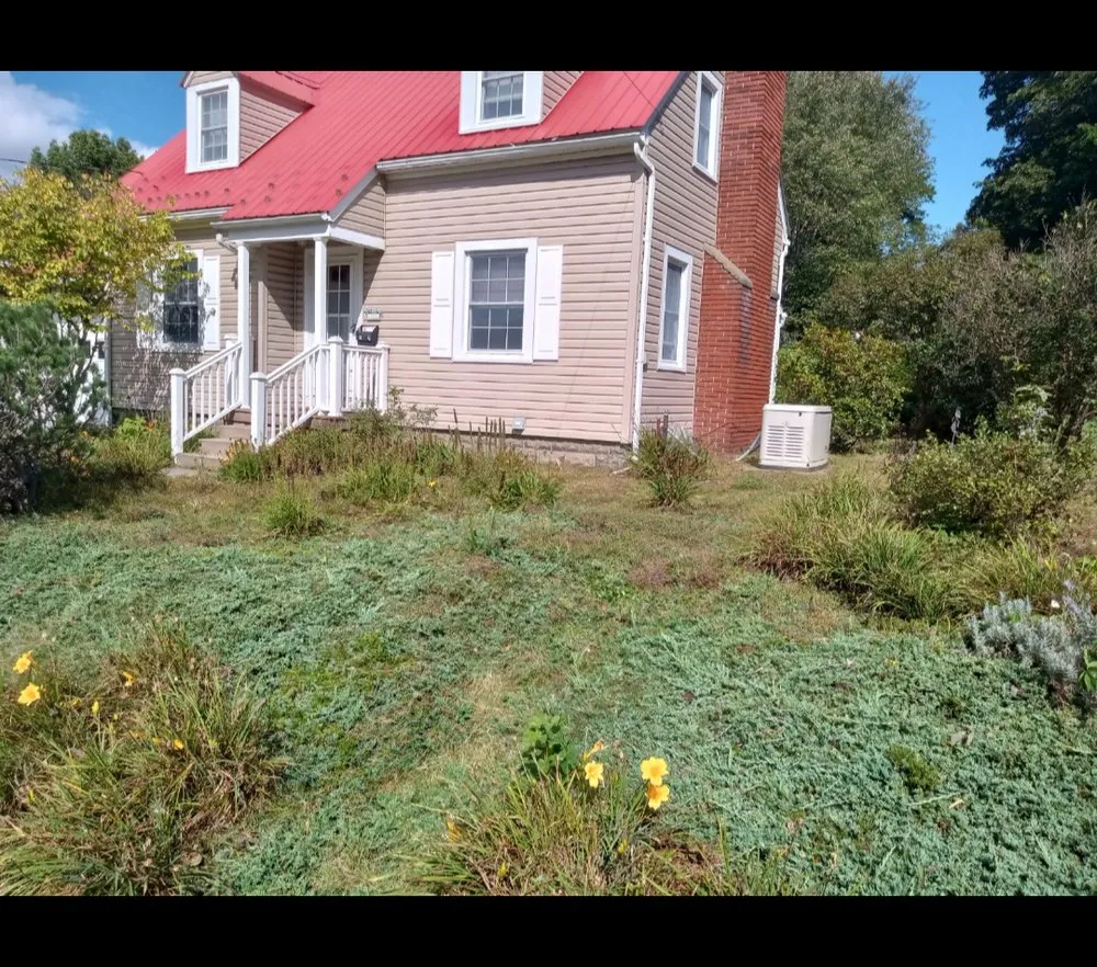 Top-rated yard maintenance in Hadley, NY by Back Country Lawn Care