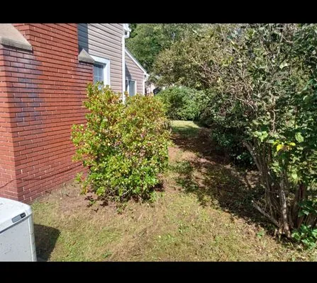 Back Country Lawn Care