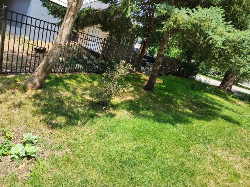 Expert lawn mowing service in Osceola, IN by Back Hurt's Lawn Care