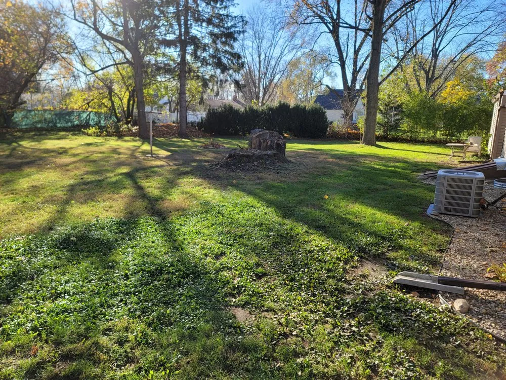 Local landscape design in Osceola, IN - Back Hurt's Lawn Care