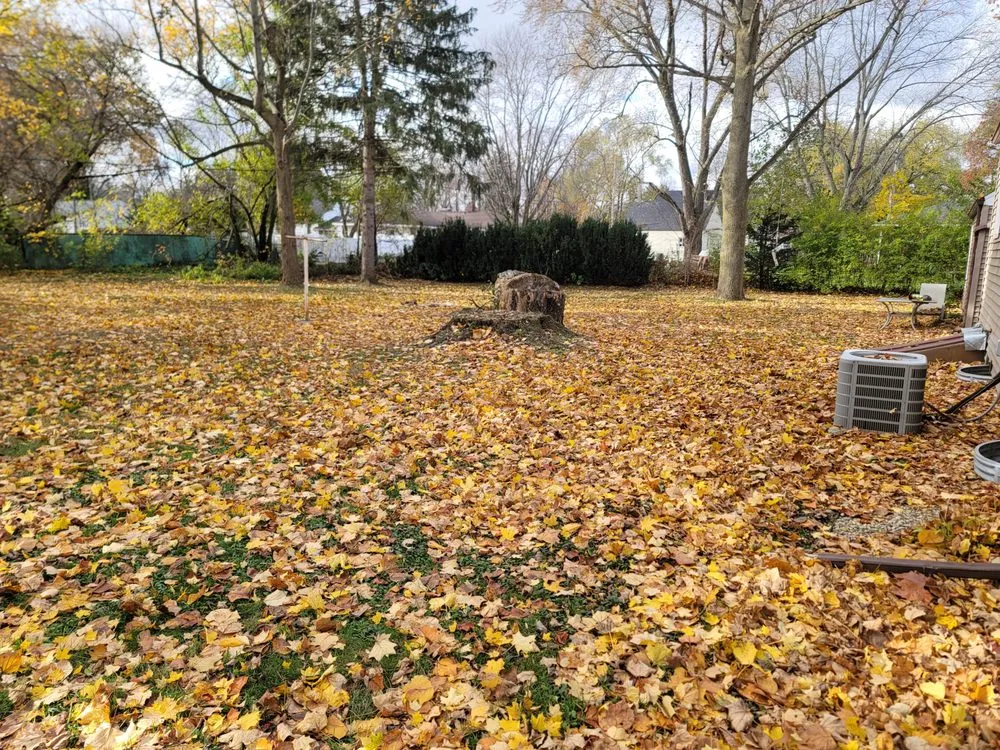 Expert outdoor landscaping in Osceola, IN - Back Hurt's Lawn Care