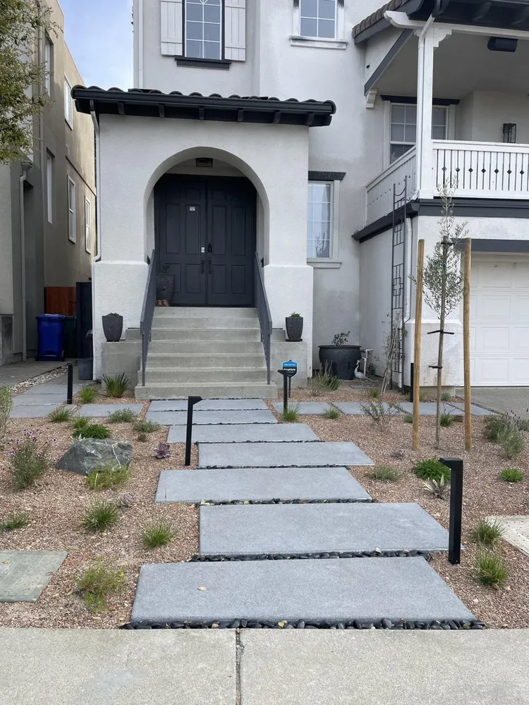 Professional landscape design in Berkeley, CA - Back In Shape Landscape