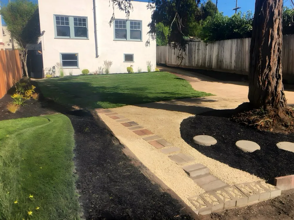 Reliable yard cleanup service in Berkeley, CA by Back In Shape Landscape