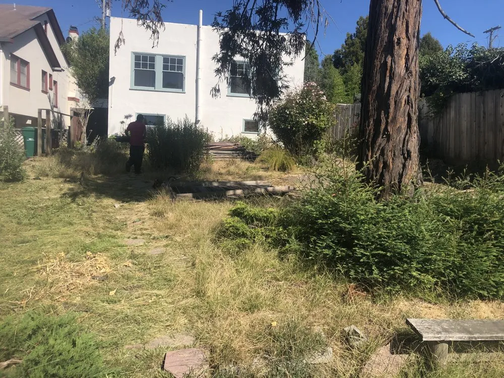 Trusted residential landscaping with custom design in Berkeley, CA by Back In Shape Landscape