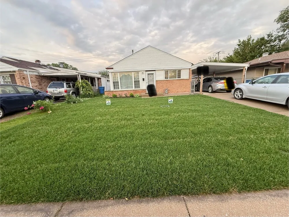 Affordable garden landscaping experts serving Chicago, IL - Back of the Yards Group