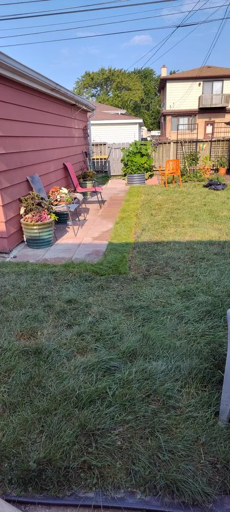 Affordable lawn care service experts serving Chicago, IL - Back of the Yards Group