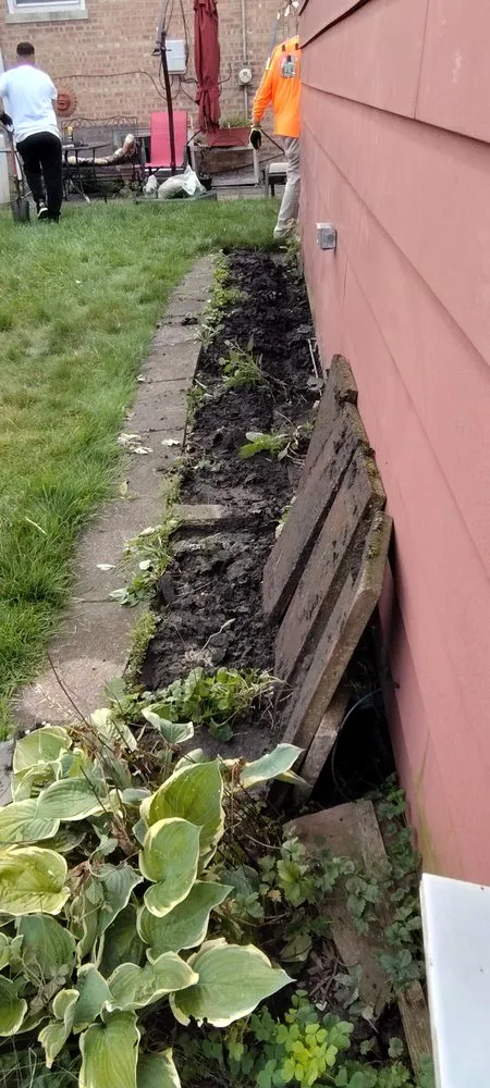 Local garden landscaping in Chicago, IL - Back of the Yards Group