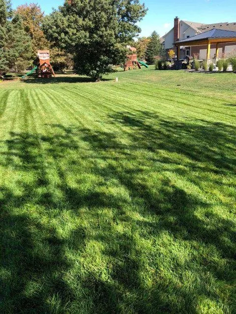 Expert residential landscaping experts serving Indianapolis, IN - Back to Basics Fertilizer