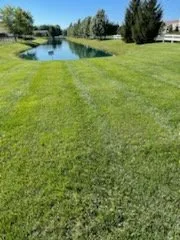 Professional outdoor landscaping for homes across Indianapolis, IN - Back to Basics Fertilizer