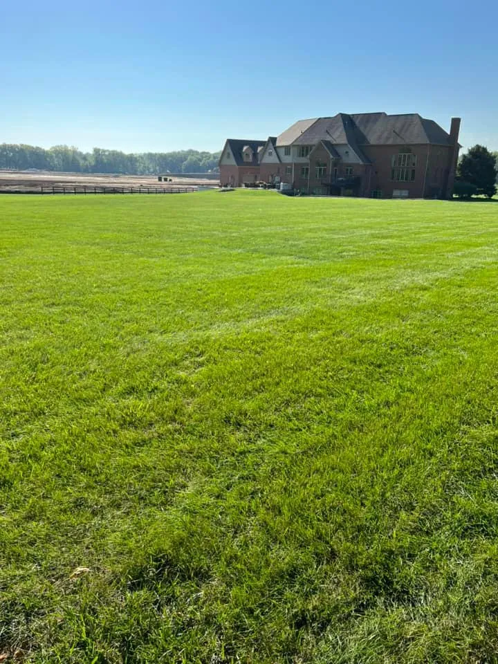 Affordable garden landscaping experts serving Indianapolis, IN - Back to Basics Fertilizer