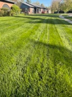 Reliable landscaping services in Indianapolis, IN - Back to Basics Fertilizer