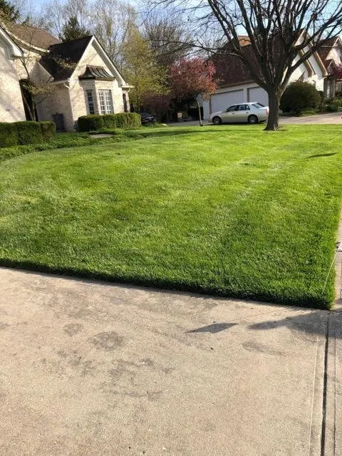Custom yard cleanup service in Indianapolis, IN - Back to Basics Fertilizer