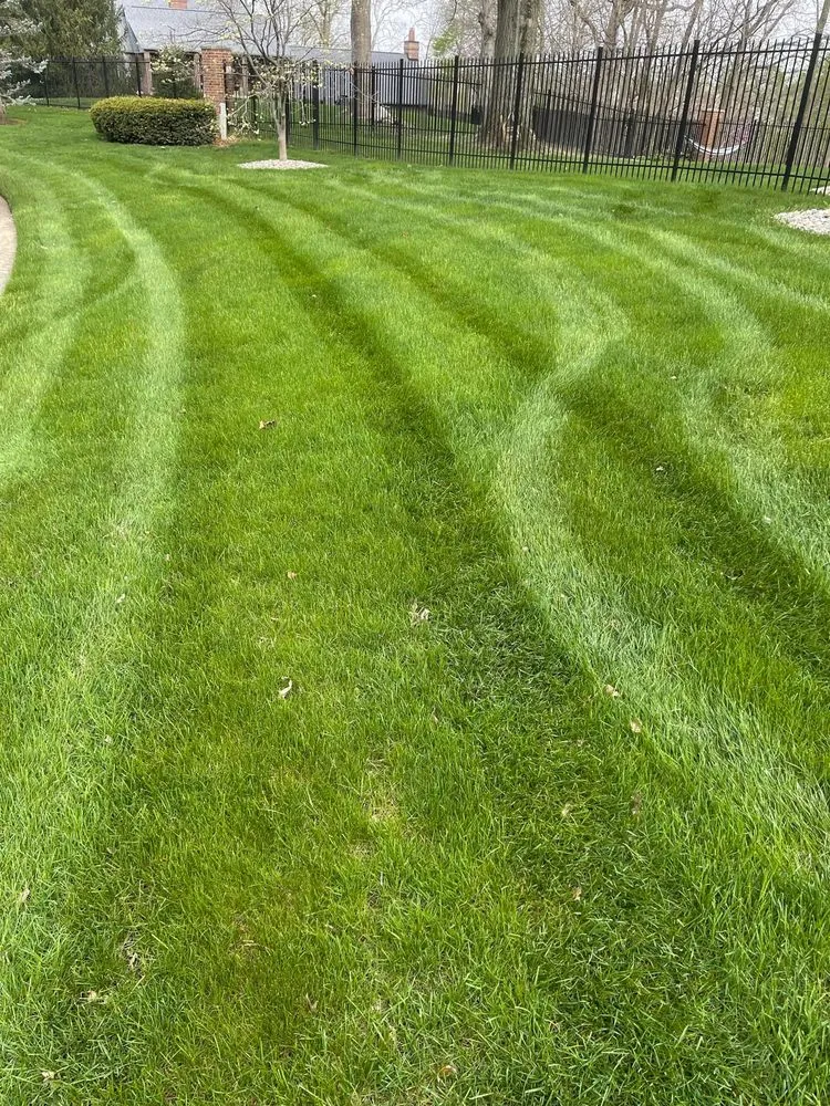 Professional yard maintenance in Indianapolis, IN by Back to Basics Fertilizer