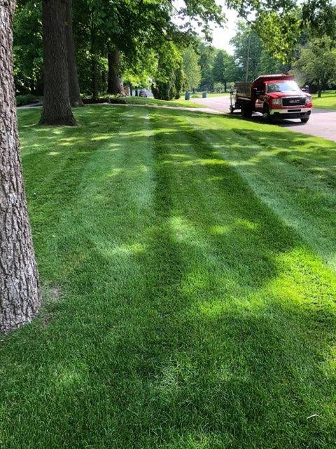 Reliable landscape installation near you in Indianapolis, IN by Back to Basics Fertilizer