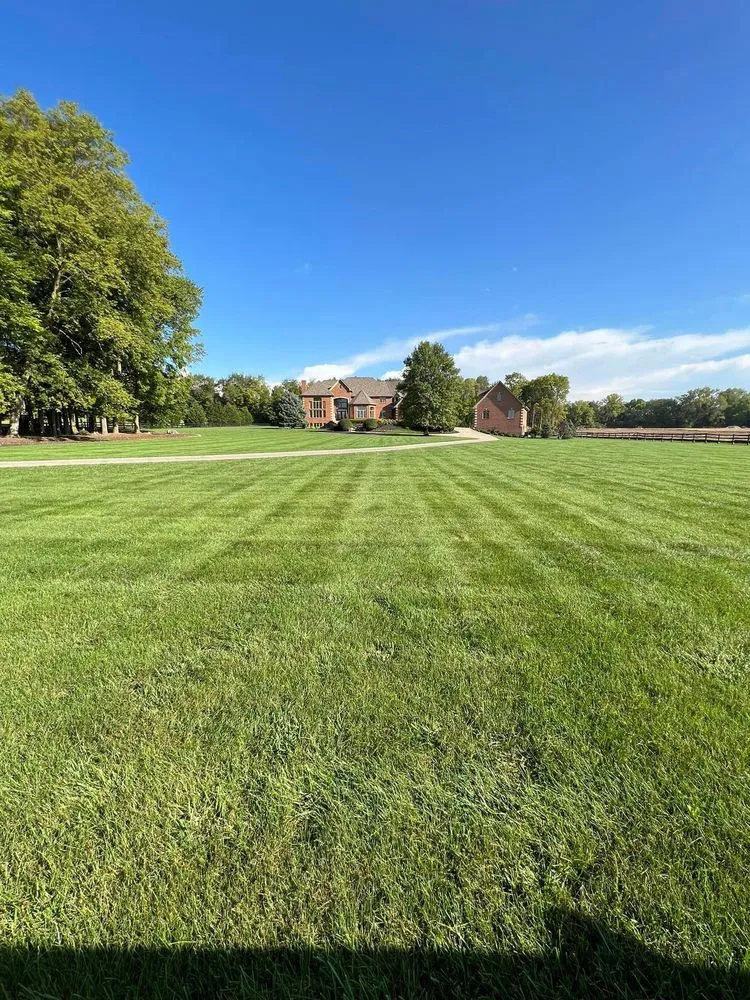 Expert yard maintenance in Indianapolis, IN by Back to Basics Fertilizer