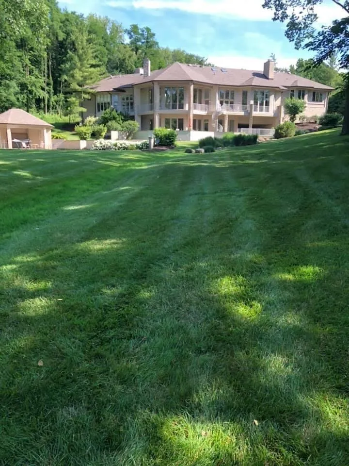 Custom outdoor landscaping in Indianapolis, IN - Back to Basics Fertilizer