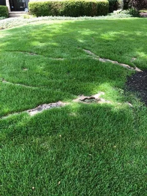 Local garden landscaping for year-round maintenance in Indianapolis, IN by Back to Basics Fertilizer