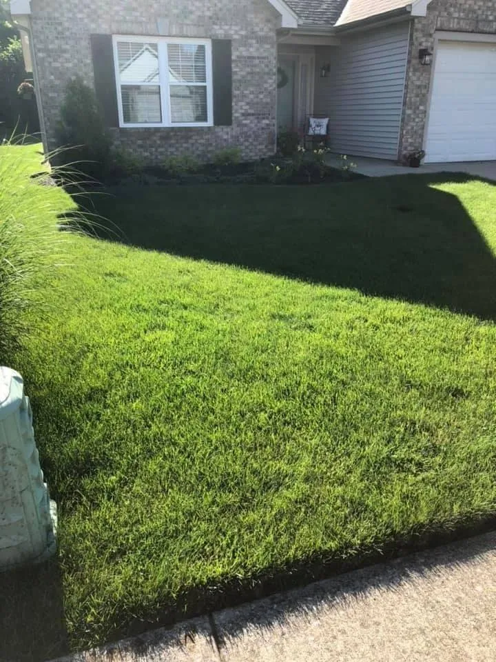 Top-rated yard maintenance in Indianapolis, IN - Back to Basics Fertilizer