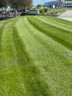 Reliable landscaping services near you in Indianapolis, IN by Back to Basics Fertilizer