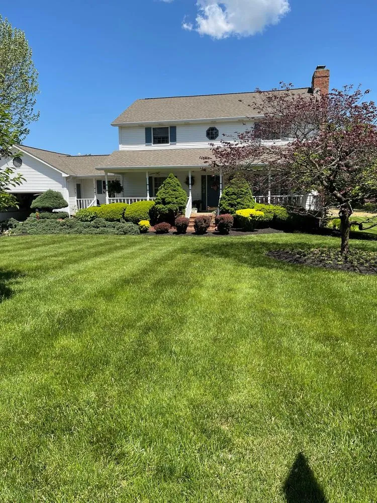 Professional yard maintenance experts serving Indianapolis, IN - Back to Basics Fertilizer