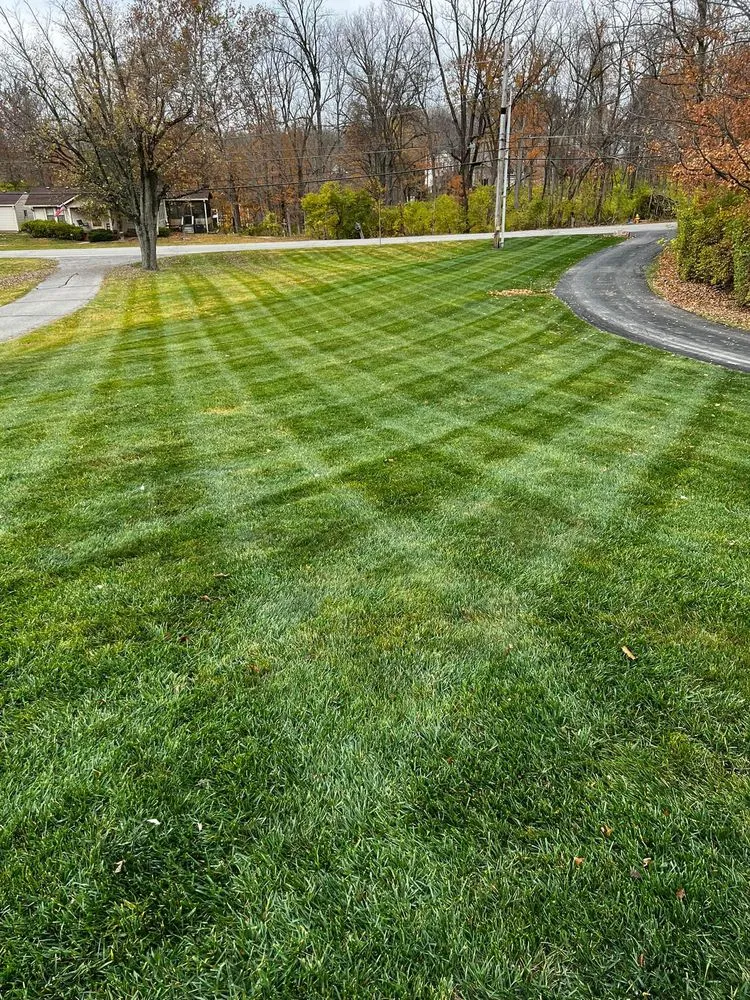 Local yard cleanup service experts serving Indianapolis, IN - Back to Basics Fertilizer