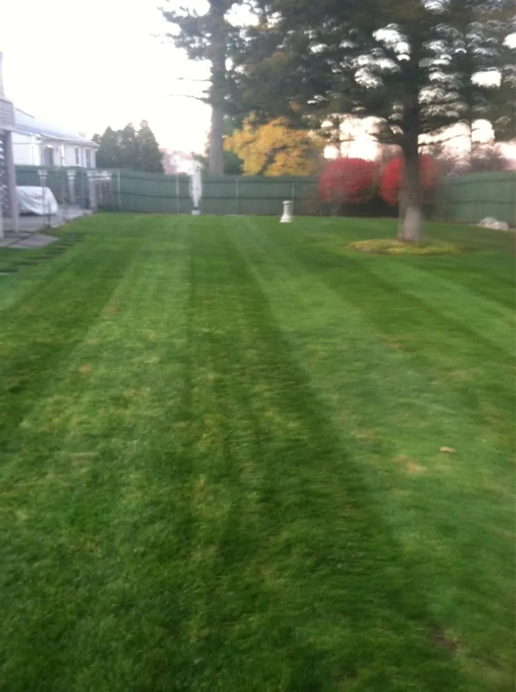 Expert yard maintenance experts serving Cranston, RI - Back To Basics Lawn Care
