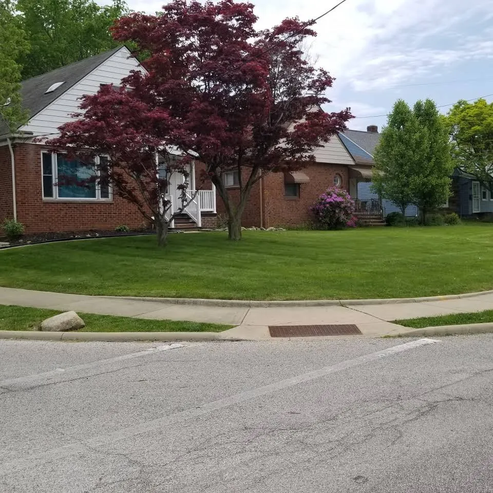 Local yard maintenance experts serving University Heights, OH - Back To Beautiful Landscaping