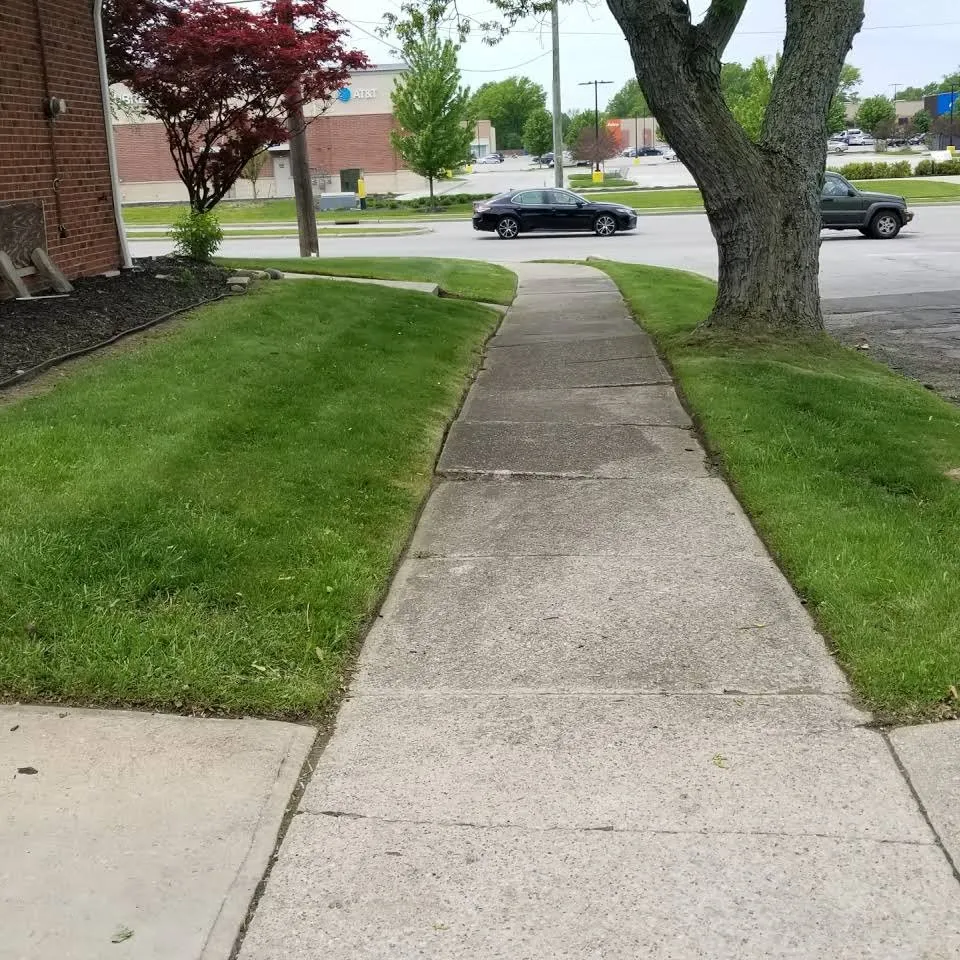 Expert garden landscaping experts serving University Heights, OH - Back To Beautiful Landscaping