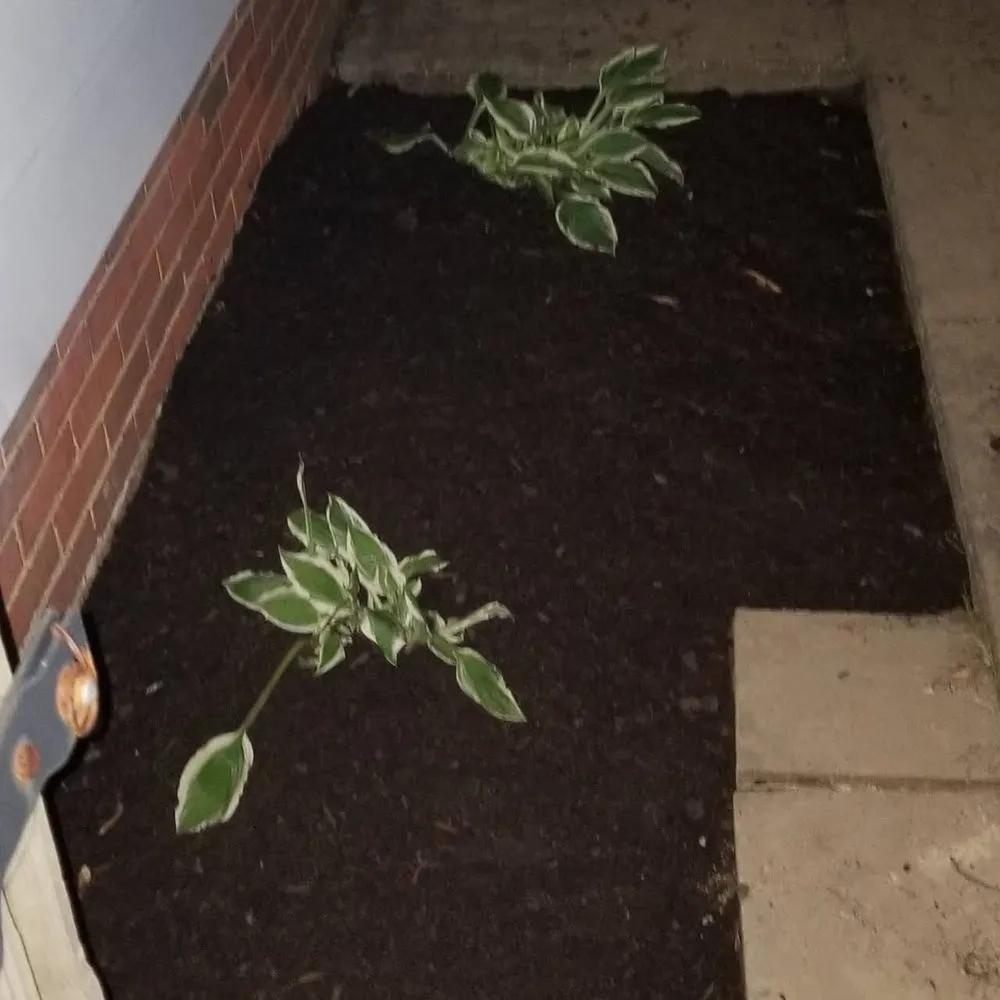 Local lawn care service in University Heights, OH - Back To Beautiful Landscaping