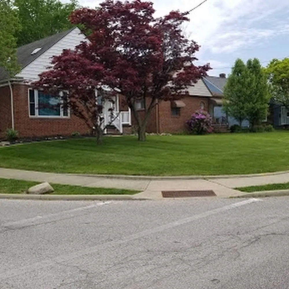 Custom yard maintenance experts serving University Heights, OH - Back To Beautiful Landscaping