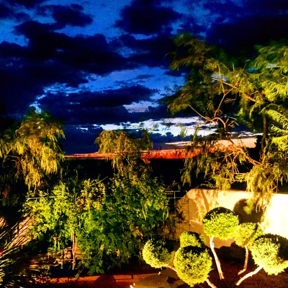 Reliable landscaping services in Placitas, NM by Back To Earth Landscaping