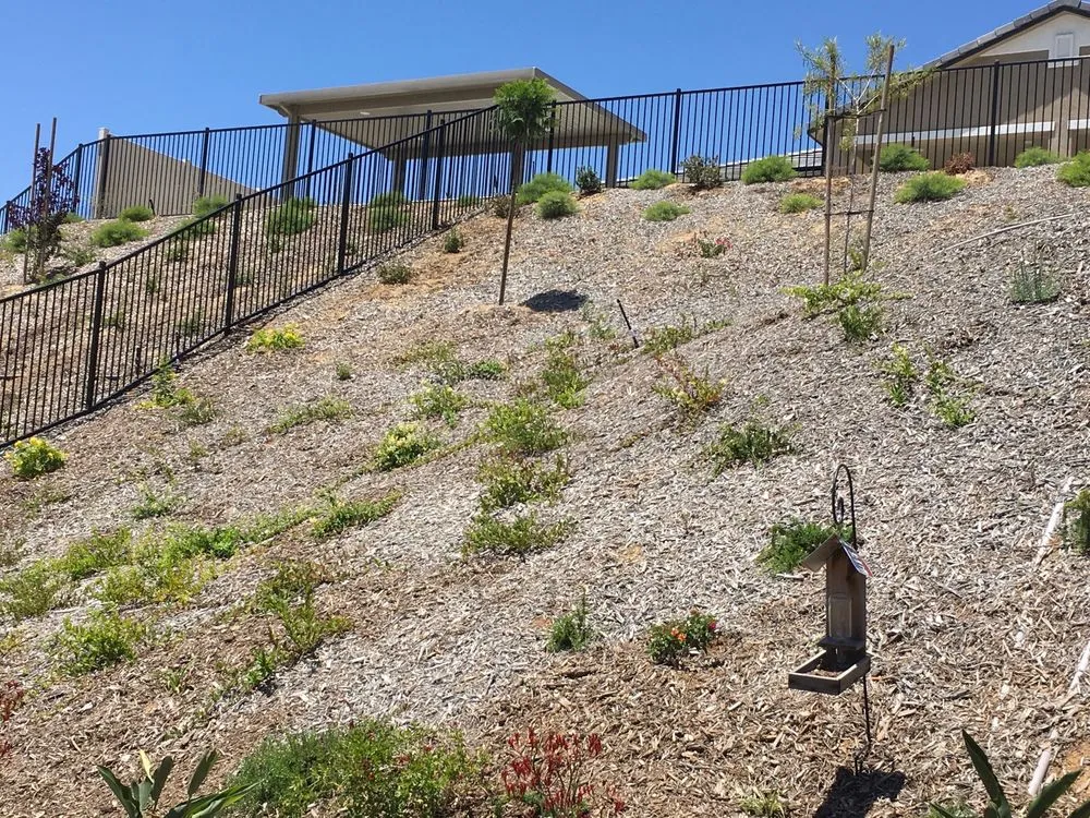 Local yard cleanup service in Moreno Valley, CA by Back To Eden Landscapes