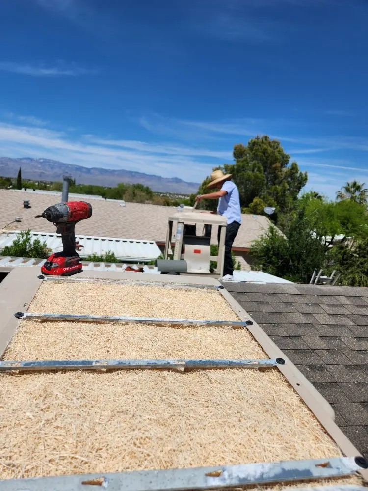 Local landscaping services in Tucson, AZ by Back To Life Landscape And Remodel