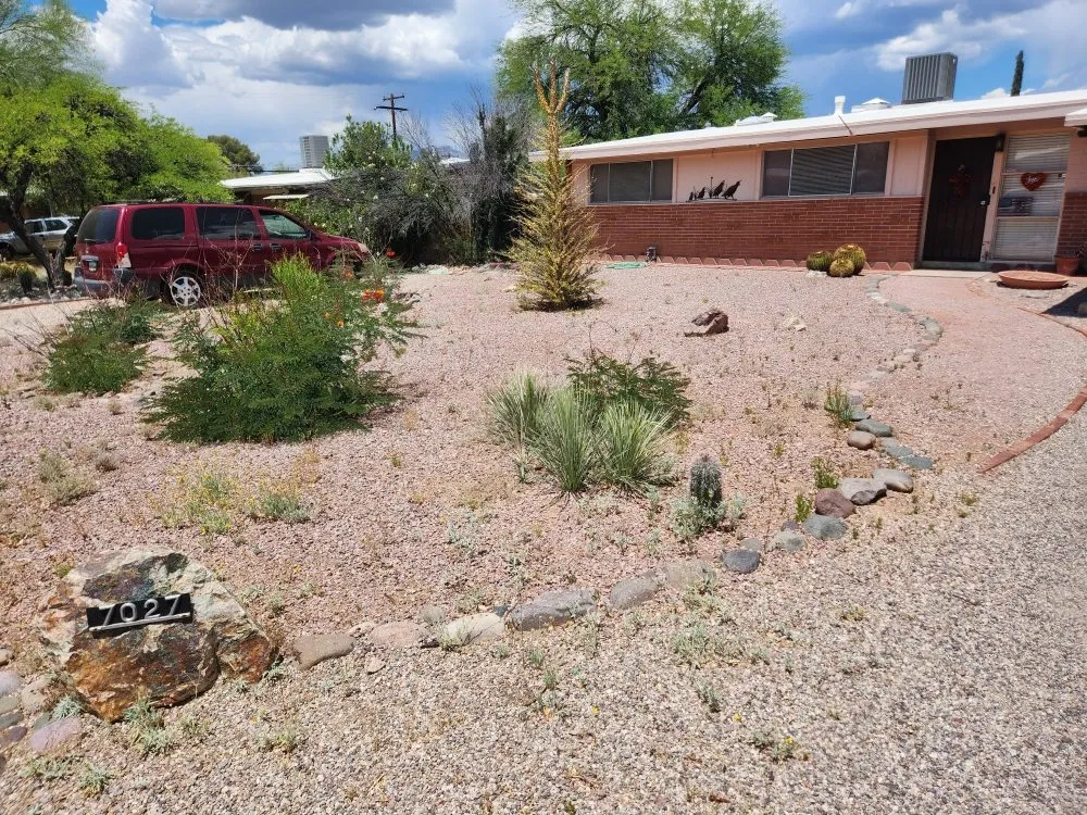 Top-rated landscape installation for beautiful yards in Tucson, AZ by Back To Life Landscape And Remodel