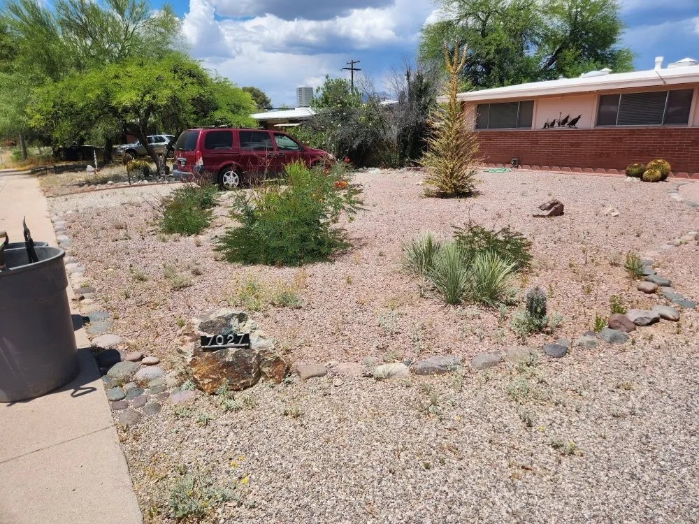 Expert lawn mowing service for beautiful yards across Tucson, AZ - Back To Life Landscape And Remodel