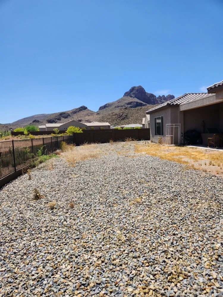 Trusted residential landscaping in Tucson, AZ by Back To Life Landscape And Remodel