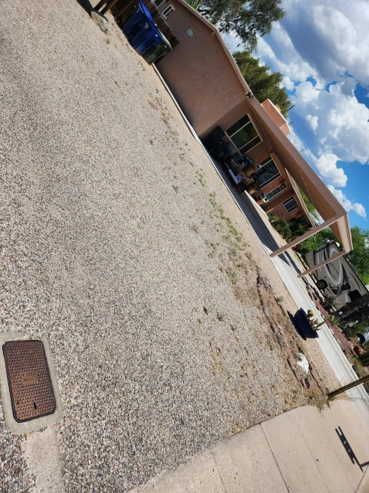 Custom yard cleanup service experts serving Tucson, AZ - Back To Life Landscape And Remodel