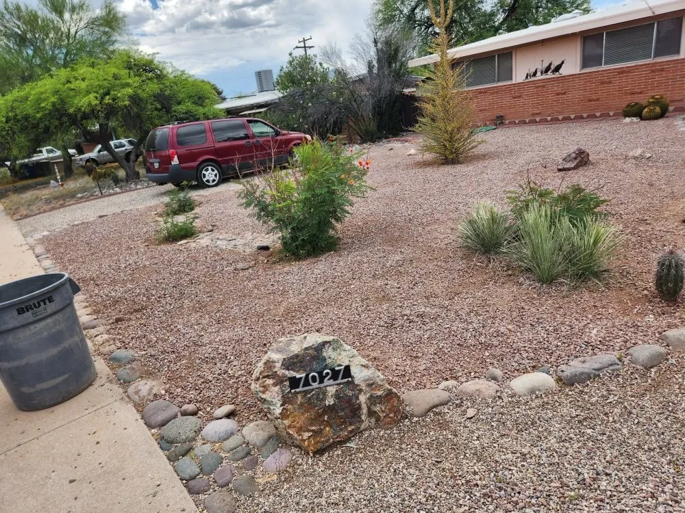 Expert landscaping services in Tucson, AZ by Back To Life Landscape And Remodel