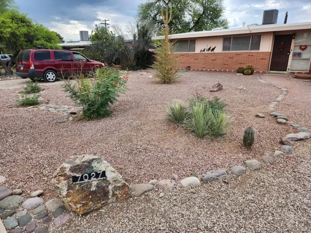 Reliable landscaping services in Tucson, AZ by Back To Life Landscape And Remodel