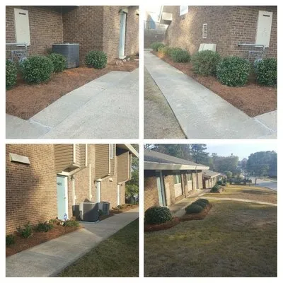 Back To Life Landscape Logo